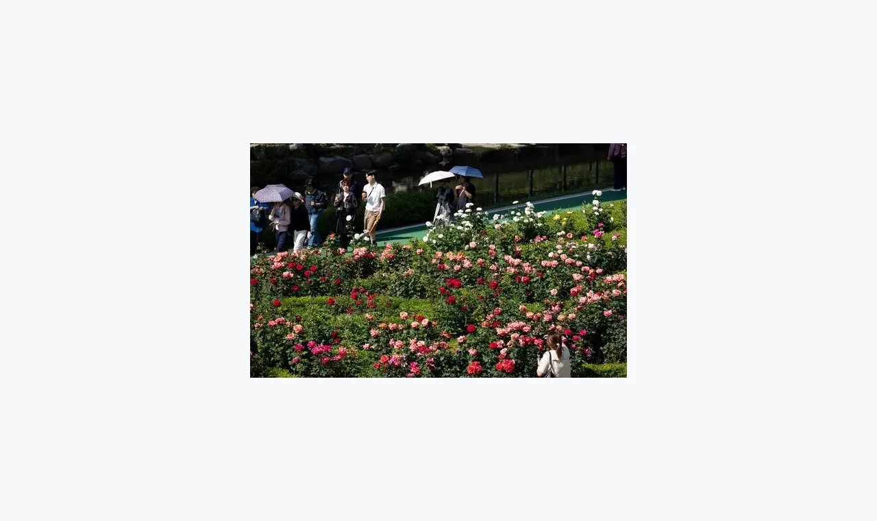 富牛证券快讯整理:围绕富牛证券市场资讯的三类信号 插图